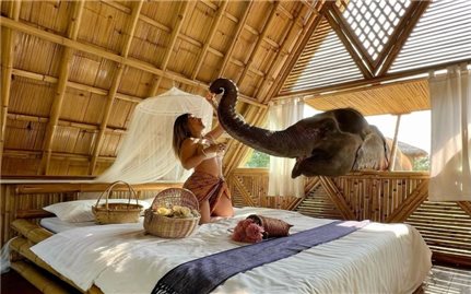 Khu nghỉ dưỡng thân thiện với voi ở Thái Lan