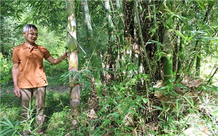 Người có uy tín… rất uy tín: “Đã làm là làm thật” (Bài 1)