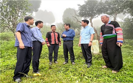 Bộ trưởng Bộ NN&PTNT kiểm tra mô hình phát triển kinh tế của tỉnh Yên Bái