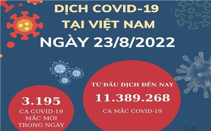Ngày 23/8: Việt Nam có 3.195 ca mắc COVID-19 và 9.367 ca khỏi bệnh