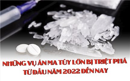 Những vụ án ma túy lớn bị triệt phá từ đầu năm 2022 đến nay