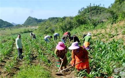 Hà Giang: Thực hiện tốt chính sách cho Người có uy tín