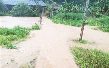 Yên Bái: Mưa lũ gây nhiều thiệt hại tài sản người dân