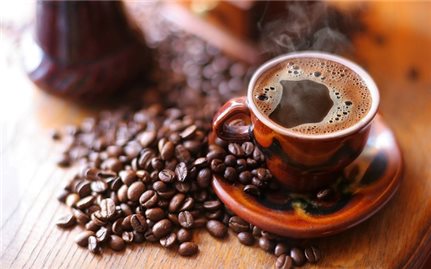 Giá cà phê hôm nay 14/9: Dao động khoảng 47.200 - 47.800 đồng/kg