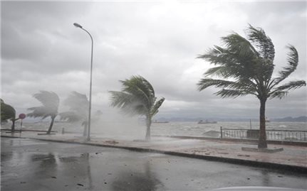 Thủ tướng Chính phủ yêu cầu tập trung ứng phó khẩn cấp với bão số 4 (bão Noru)