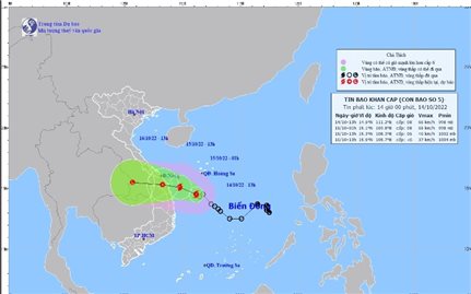 Bão số 5 hình thành trên biển Đông