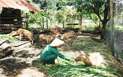 Thay đổi nếp nghĩ, cách làm ở Ia Đal