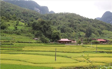 Báo chí đóng góp quan trọng vào thực hiện hiệu quả công tác dân tộc, chính sách dân tộc