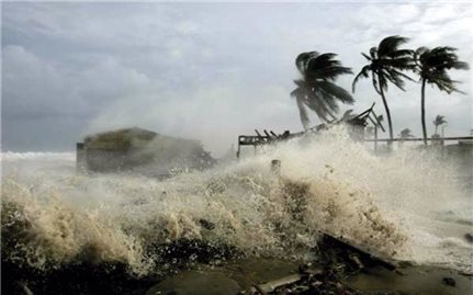 Các tỉnh, thành phố ven biển từ Quảng Ninh đến Cà Mau chủ động ứng phó với gió mạnh trên biển