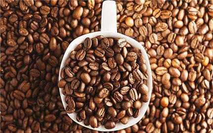 Giá cà phê hôm nay 11/11: Thị trường cà phê thế giới tăng nhẹ