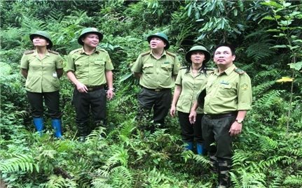 Kiểm lâm Thái Nguyên: Đẩy mạnh công tác trồng rừng
