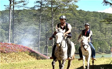 Lâm Đồng: Huyện Lạc Dương Tổ chức Giải đua ngựa không yên dành cho thanh niên DTTS lần thứ I
