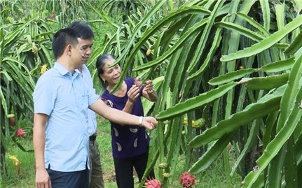 Xóa nghèo luôn là nhiệm vụ trọng tâm, cấp bách của huyện Như Xuân