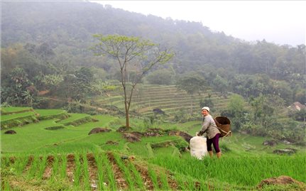 Thanh Hóa trở thành tỉnh thứ 4 được Chính phủ phê duyệt quy hoạch tỉnh