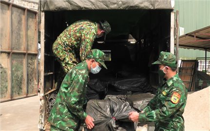 Lào Cai: Bắt giữ 1 tấn chân gà đông lạnh đang vận chuyển lậu qua biên giới