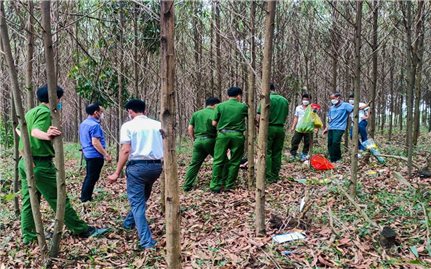 Quảng Trị: Phát hiện nữ Cựu chiến binh tử vong trong rừng tràm