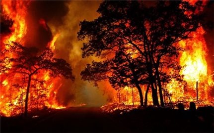 Nghệ An: Tăng cường các giải pháp phòng chống cháy rừng