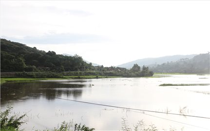 Đắk Lắk: Mưa lớn kéo dài, hàng nghìn héc ta cây trồng bị ngập lụt