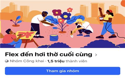 Flex và những mặt trái
