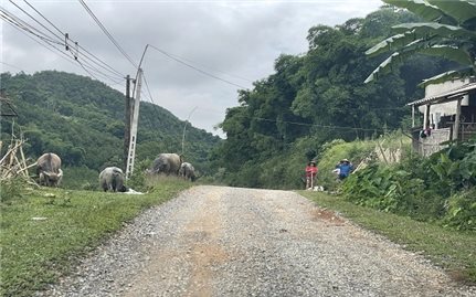 Cần nhiều nguồn lực hơn nữa để người dân Luận Khê thoát nghèo