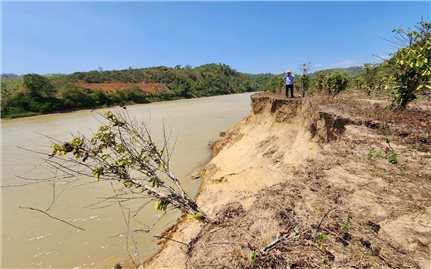 Đắk Lắk: Yêu cầu hai doanh nghiệp dừng hoạt động khai thác cát