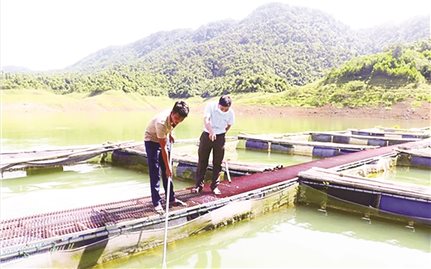 Huyện miền núi xứ Thanh phát triển nghề nuôi cá lồng
