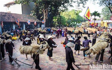 Lễ hội trâu rơm, bò rạ đặc trưng của cư dân lúa nước