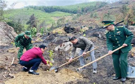 Quảng Ninh: Năm 2023, phấn đấu trồng 2.000 ha cây có giá trị kinh tế cao