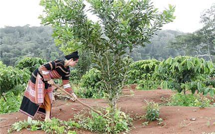 Tín dụng ưu đãi vùng đồng bào DTTS và miền núi: Thiết thực và nhân văn