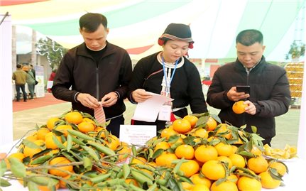 Khơi mạch nguồn phát triển vùng đồng bào DTTS