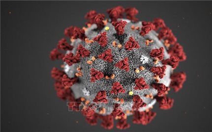 Nga phát triển xét nghiệm đồng thời phát hiện 8 loại virus hô hấp cấp tính