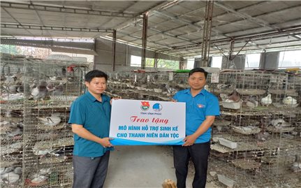 Vĩnh Phúc: Hỗ trợ thanh niên DTTS phát triển kinh tế