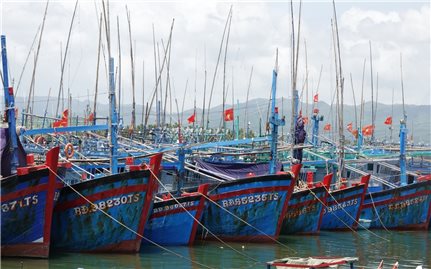 Bình Định: Người đứng đầu địa phương phải chịu trách nhiệm nếu để tàu cá vi phạm vùng biển nước ngoài