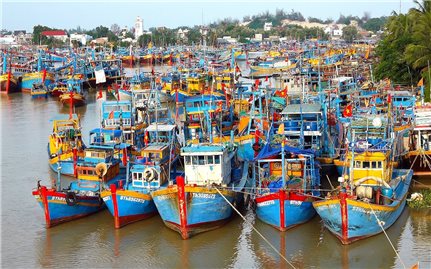 Bình Thuận: Nhiều tàu cá sắp cạn kiệt lương thực do thời tiết xấu trên biển