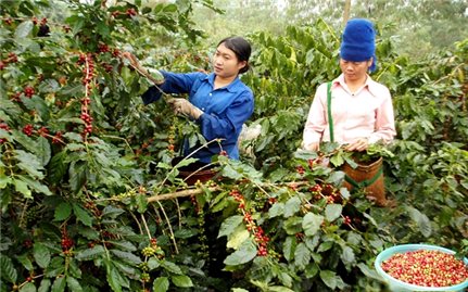 Đẩy nhanh tiến độ các dự án giảm nghèo bền vững