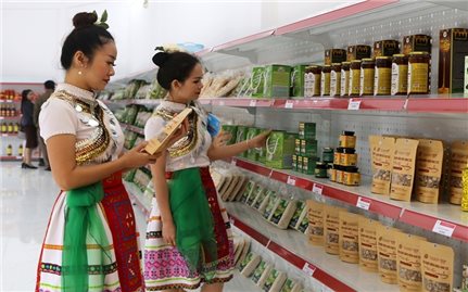 Công bố hơn 500 doanh nghiệp hàng Việt Nam chất lượng cao năm 2023