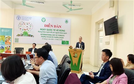Rừng khỏe mạnh để con người khỏe mạnh