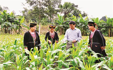 Đồng lòng, chung sức vì sự thành công của Chương trình MTQG