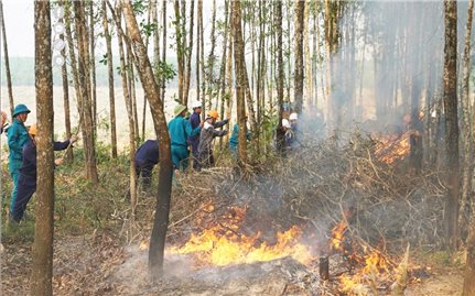 Bộ NN&PTNT ban hành Công điện Về việc tăng cường các biện pháp cấp bách phòng cháy, chữa cháy rừng