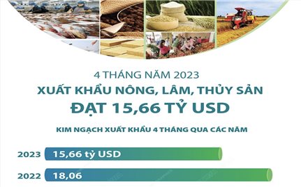 Xuất khẩu nông, lâm, thủy sản đạt 15,66 tỷ USD