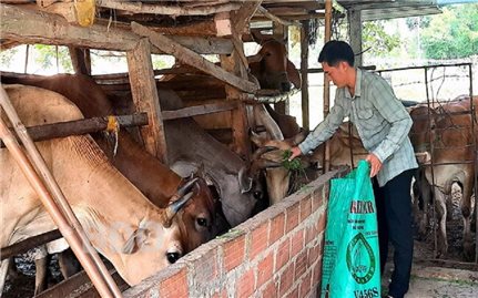 Bình Định: Đặt mục tiêu giải ngân 100% nguồn vốn các Chương trình MTQG năm 2023