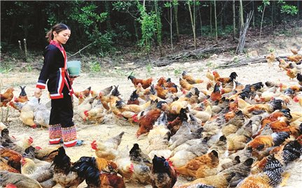 Phụ nữ DTTS Quảng Ninh “nghĩ mới, làm mới”