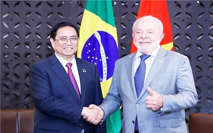 Thúc đẩy sớm khởi động đàm phán FTA giữa Việt Nam và Khối Thị trường chung Nam Mỹ