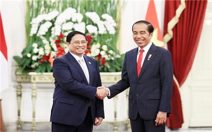 Việt Nam và Indonesia hướng tới quan hệ Đối tác Chiến lược Toàn diện