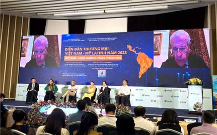 Thúc đẩy xuất khẩu sang thị trường Mỹ Latinh thông qua các kênh phân phối hàng hóa