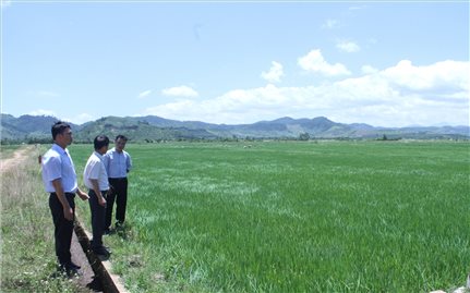 Ea Kar (Đắk Lắk) - Hiệu quả chính sách dân tộc làm thay đổi diện mạo buôn làng
