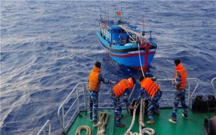 Quảng Nam: Một tàu cá bị chìm trên vùng biển Trường Sa, 14 ngư dân mất tích