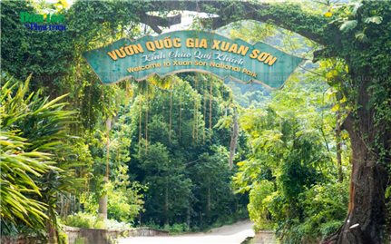 Trải nghiệm Vườn Quốc gia Xuân Sơn
