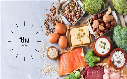 Vitamin B12-Đôi điều cần biết