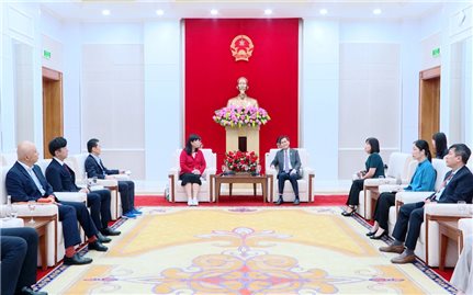 Lãnh đạo tỉnh Quảng Ninh tiếp xã giao Tổng thư ký Hội hữu nghị Nhật - Việt và Chủ tịch Liên minh nghị sĩ hữu nghị thành phố Kobe